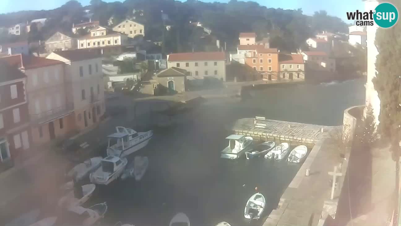 Webcam dal vivo – Il porticciolo e la baia di Lussingrande