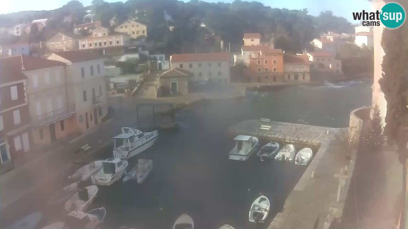 Webcam dal vivo – Il porticciolo e la baia di Lussingrande