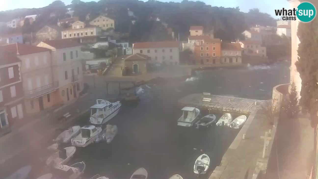 Webcam dal vivo – Il porticciolo e la baia di Lussingrande