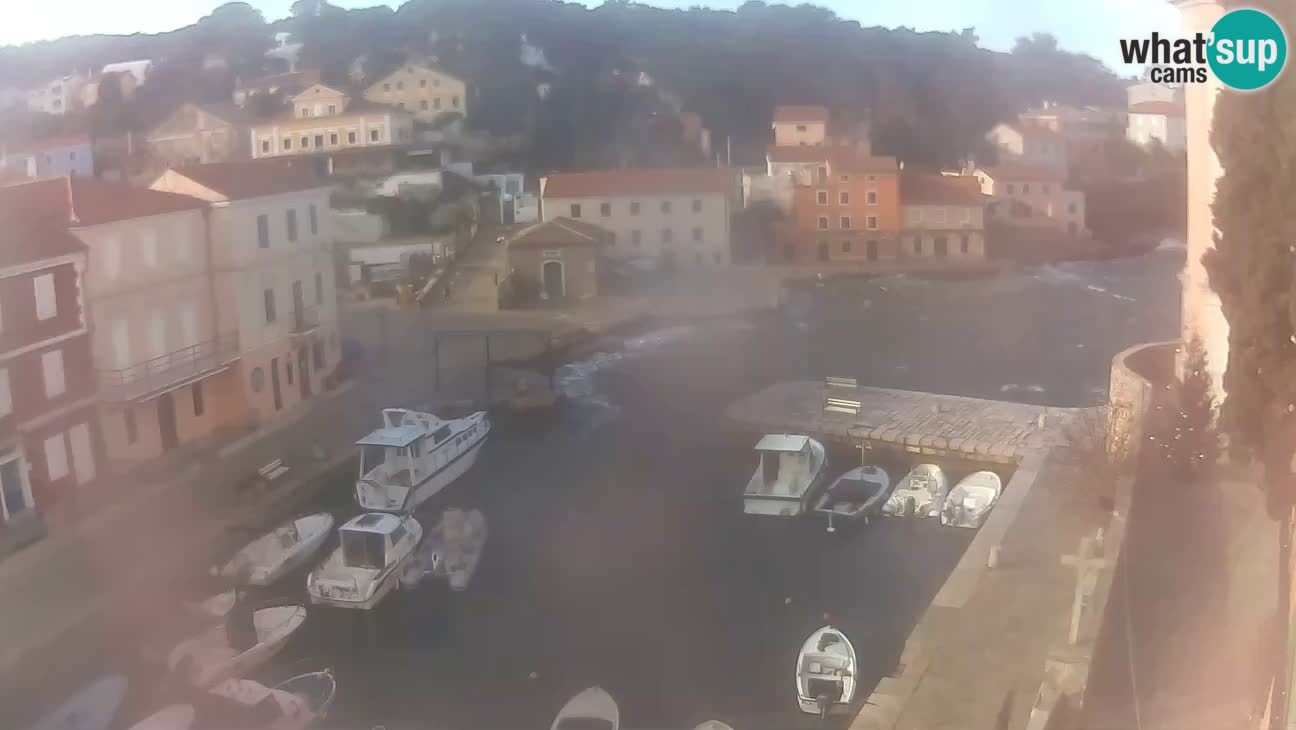 Webcam dal vivo – Il porticciolo e la baia di Lussingrande