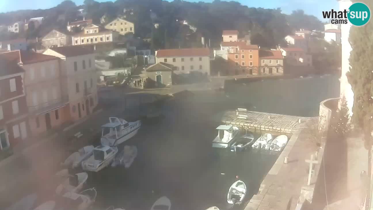 Webcam dal vivo – Il porticciolo e la baia di Lussingrande