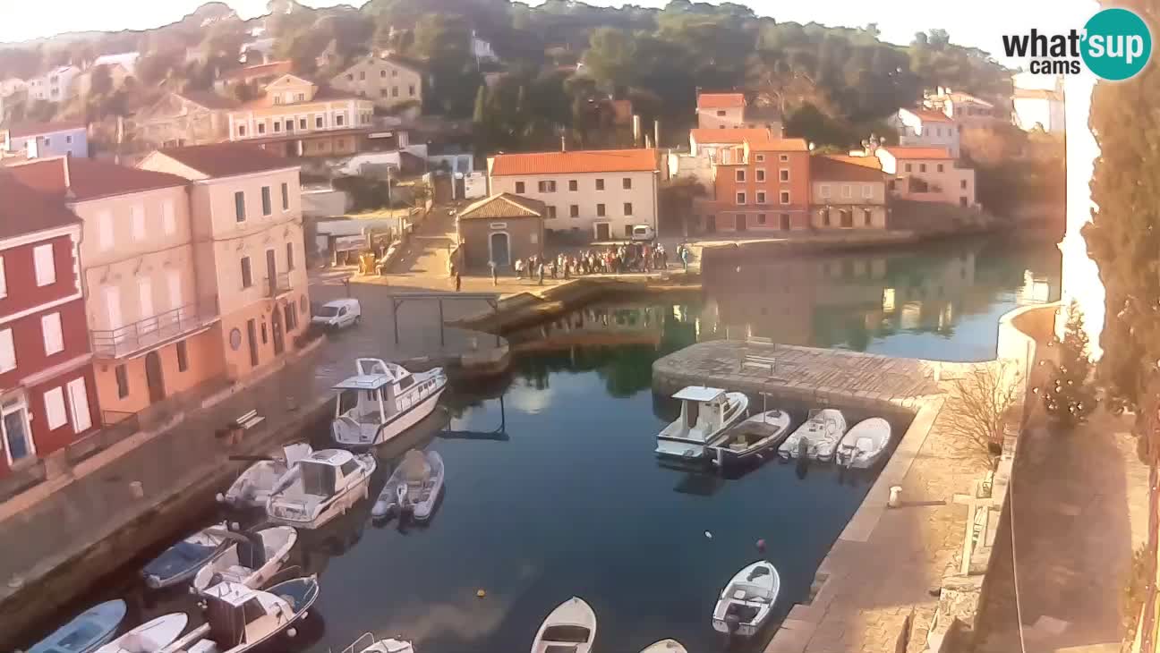 Webcam dal vivo – Il porticciolo e la baia di Lussingrande