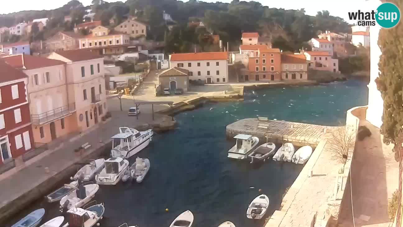 Webcam – El puerto y la bahía de Veli Lošinj