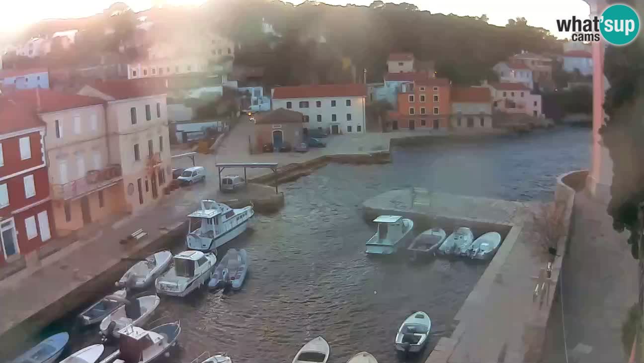 Webcam Live – The harbor and the bay of Veli Lošinj