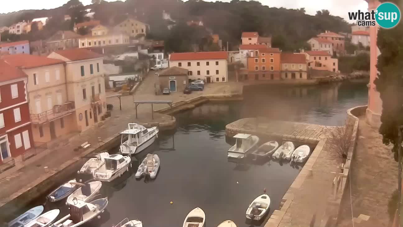 Webcam dal vivo – Il porticciolo e la baia di Lussingrande