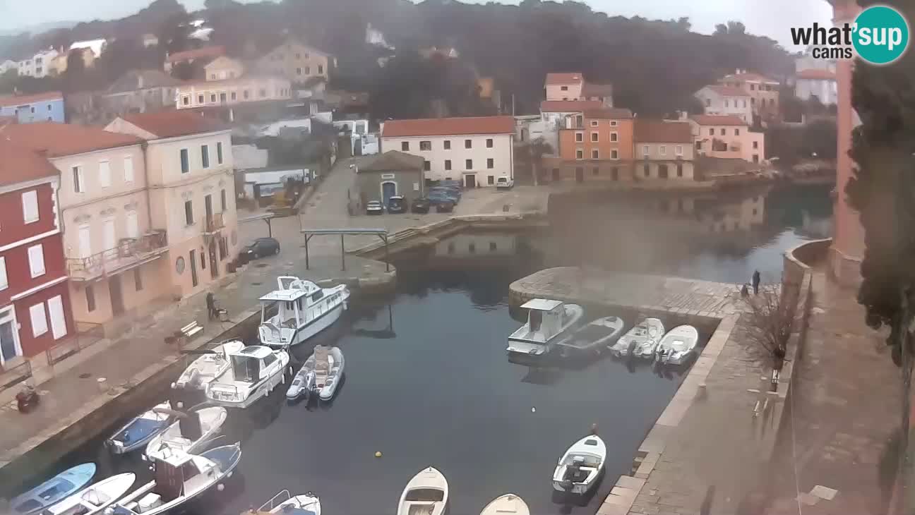 Webcam dal vivo – Il porticciolo e la baia di Lussingrande