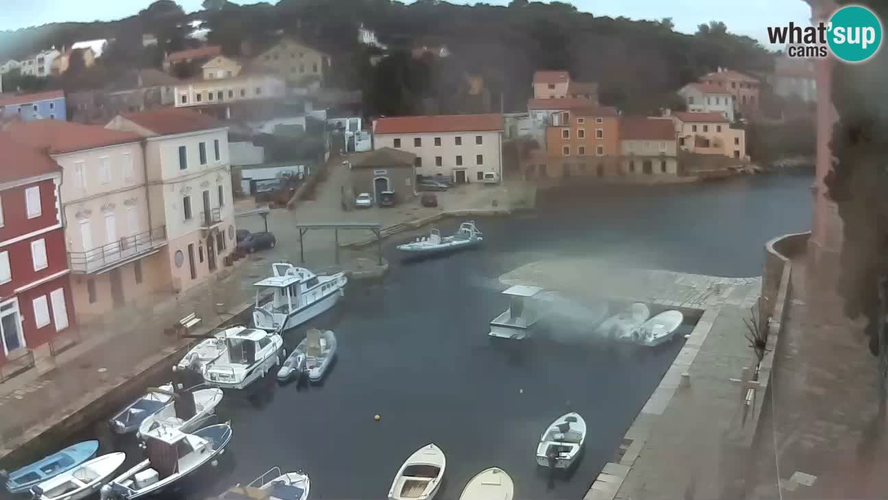 Webcam dal vivo – Il porticciolo e la baia di Lussingrande