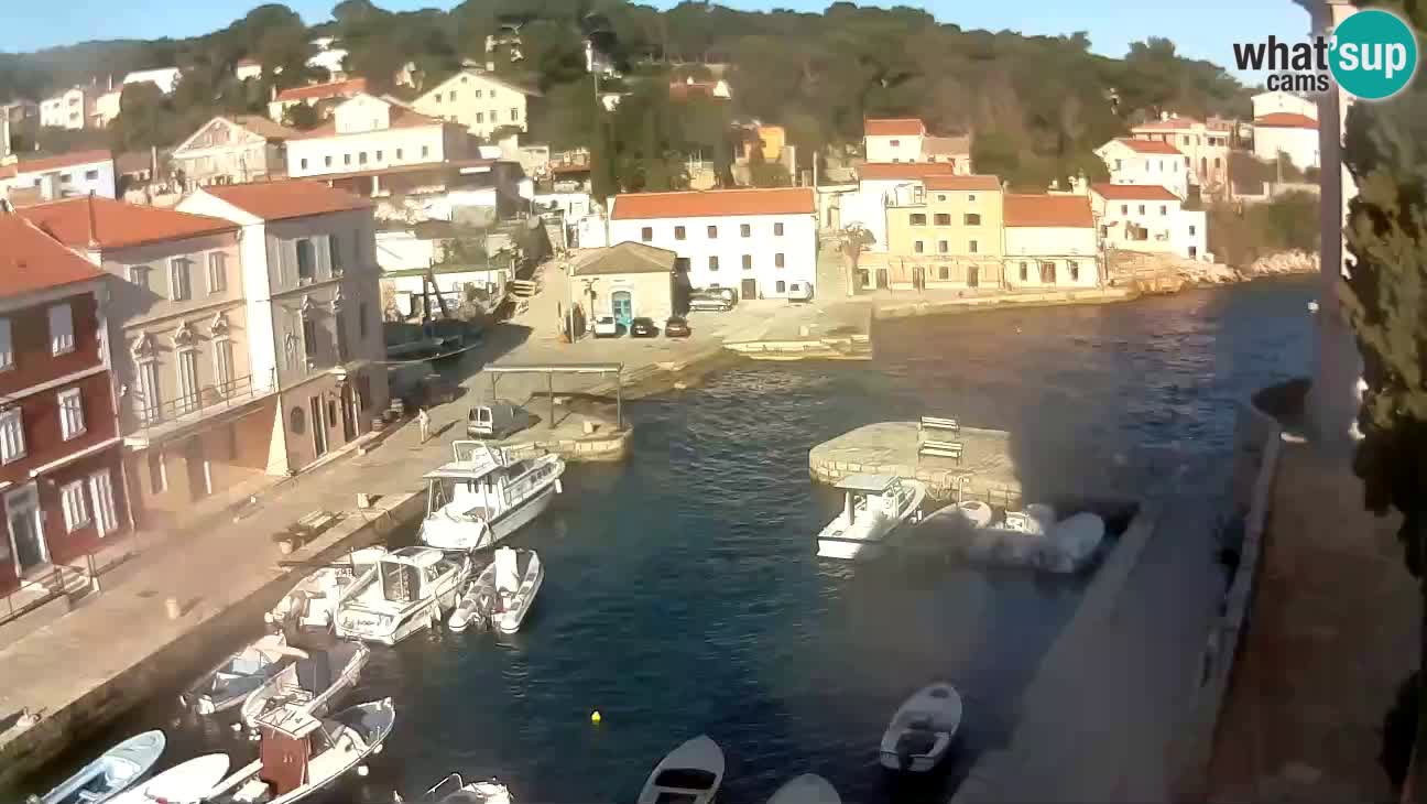 Webcam – El puerto y la bahía de Veli Lošinj