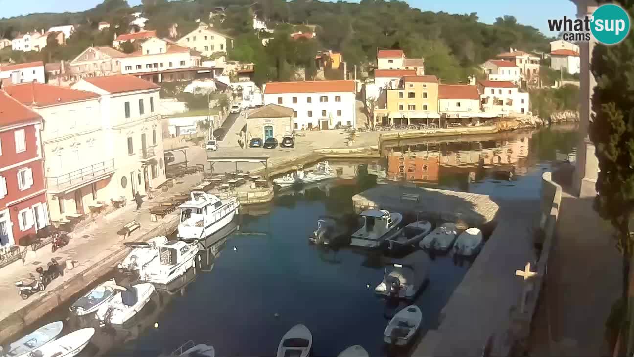 Webcam Live – The harbor and the bay of Veli Lošinj
