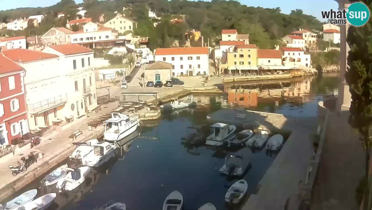 Webcam Live – The harbor and the bay of Veli Lošinj