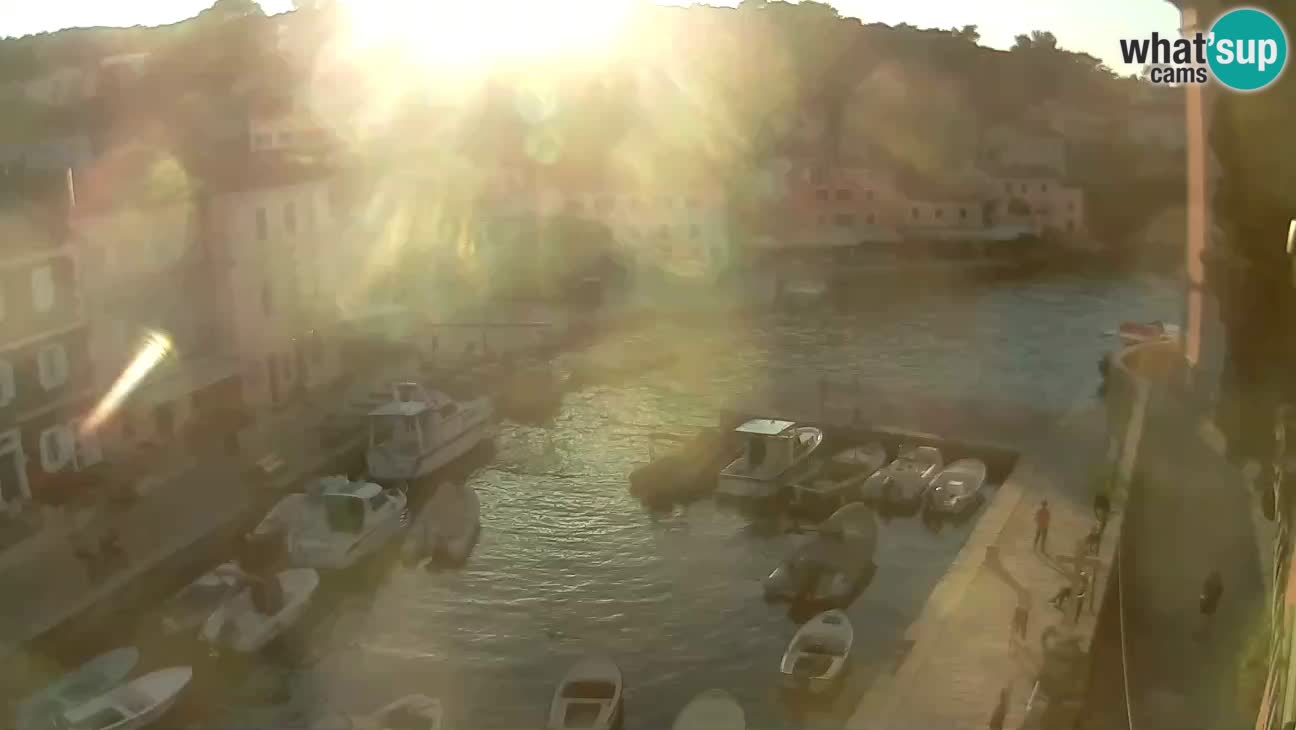 Webcam dal vivo – Il porticciolo e la baia di Lussingrande