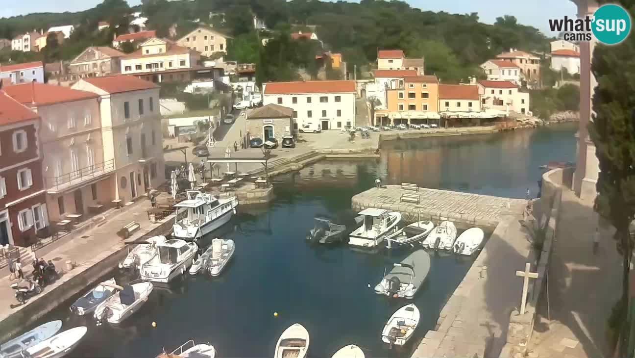 Webcam – Den Hafen und die Bucht von Veli Lošinj