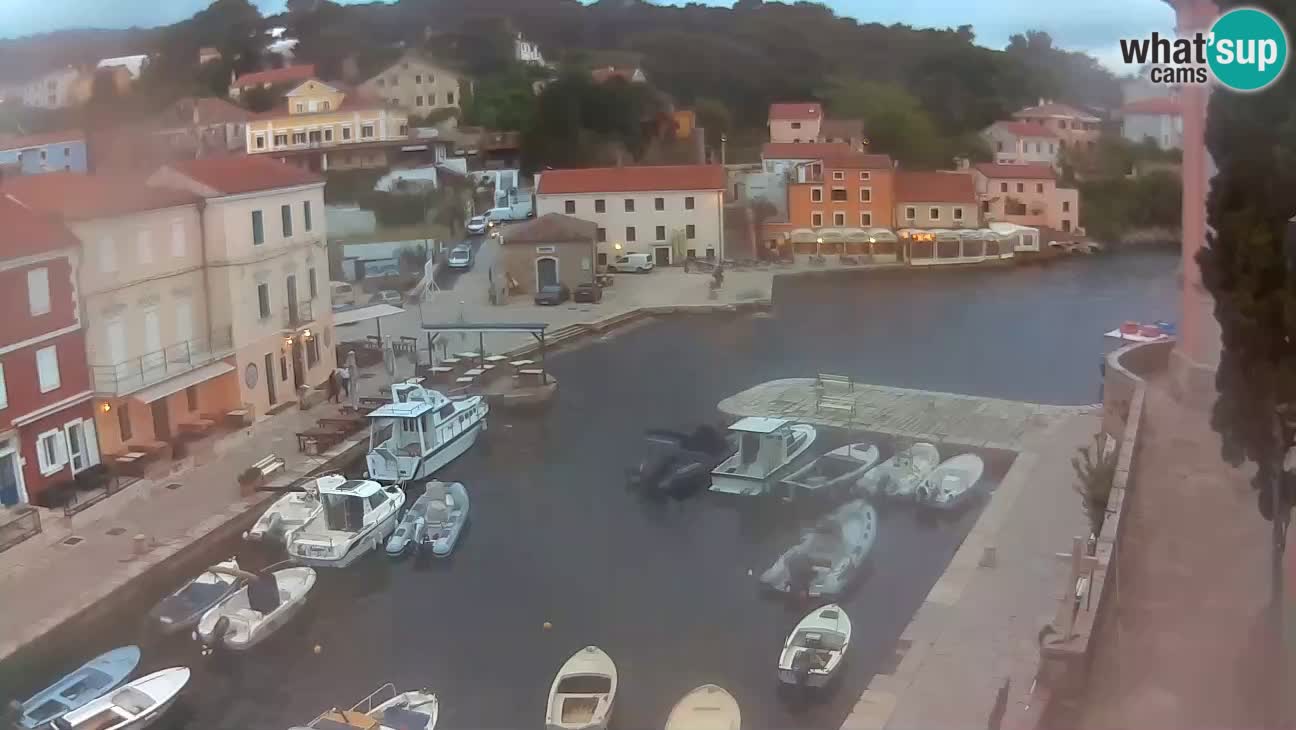 Webcam dal vivo – Il porticciolo e la baia di Lussingrande