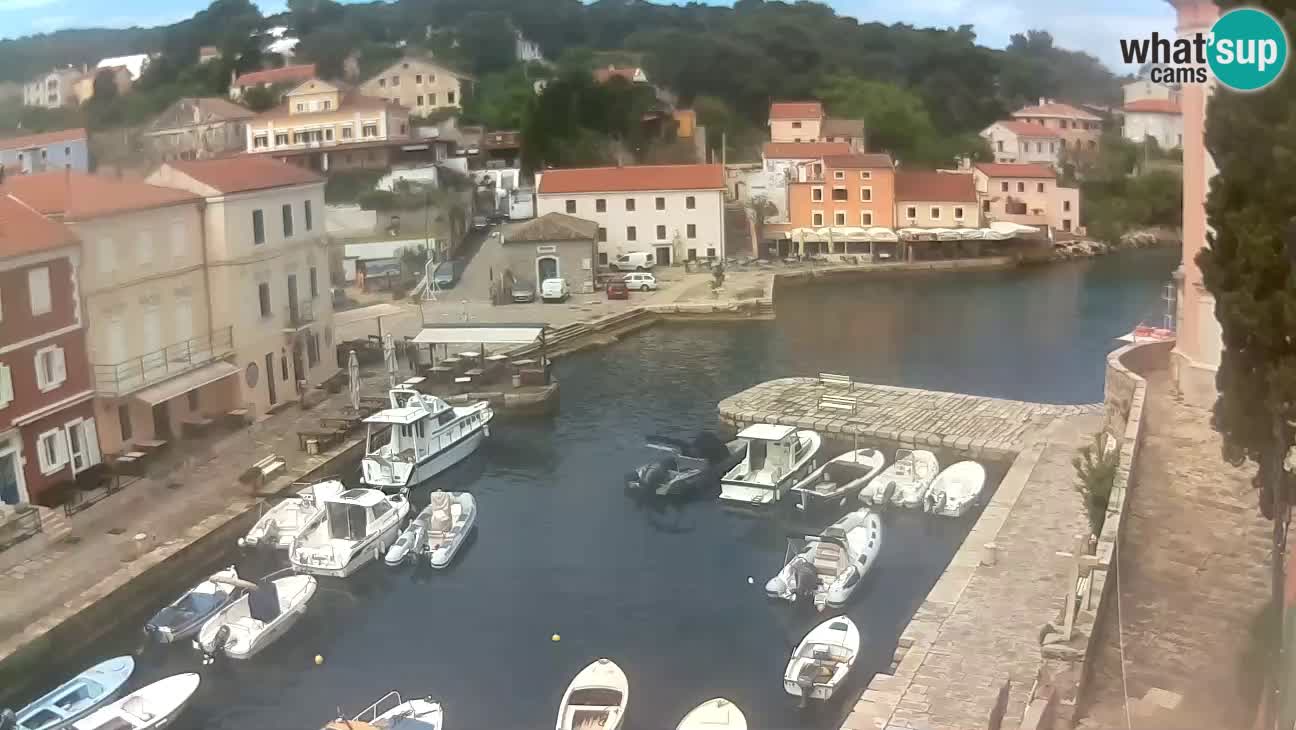 Webcam dal vivo – Il porticciolo e la baia di Lussingrande