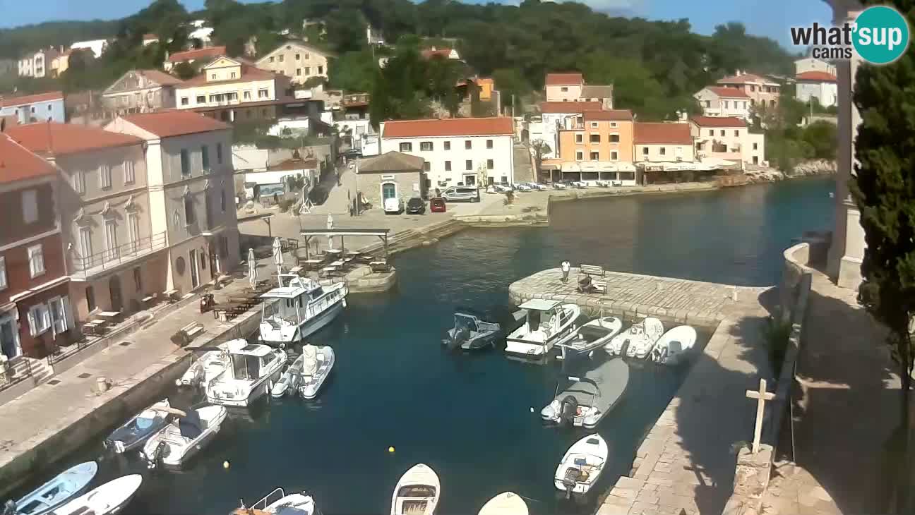 Webcam dal vivo – Il porticciolo e la baia di Lussingrande