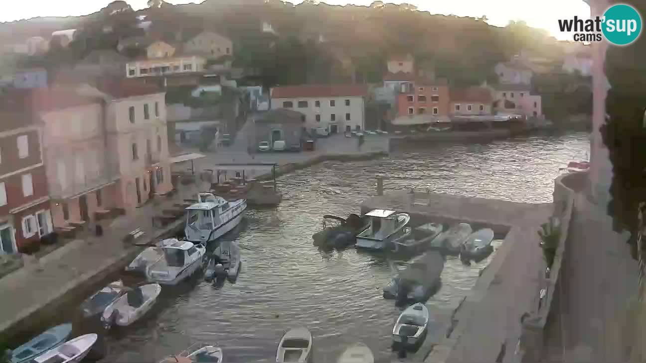 Webcam dal vivo – Il porticciolo e la baia di Lussingrande