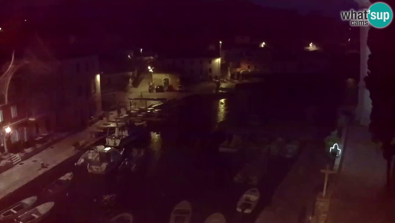 Webcam dal vivo – Il porticciolo e la baia di Lussingrande