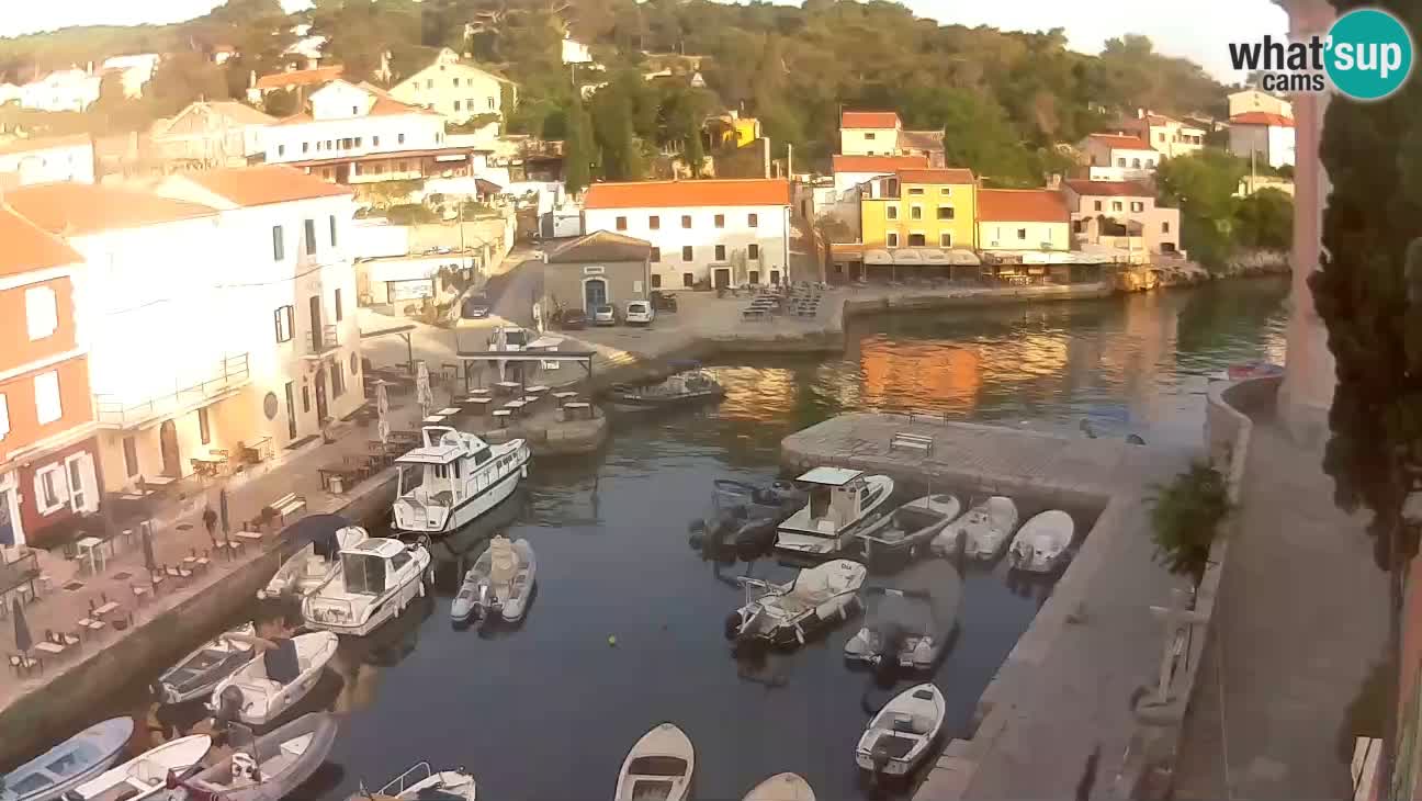 Webcam dal vivo – Il porticciolo e la baia di Lussingrande