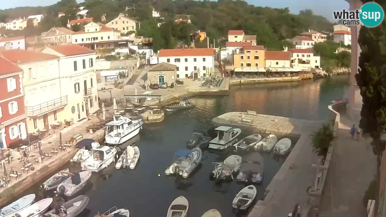 Webcam – El puerto y la bahía de Veli Lošinj