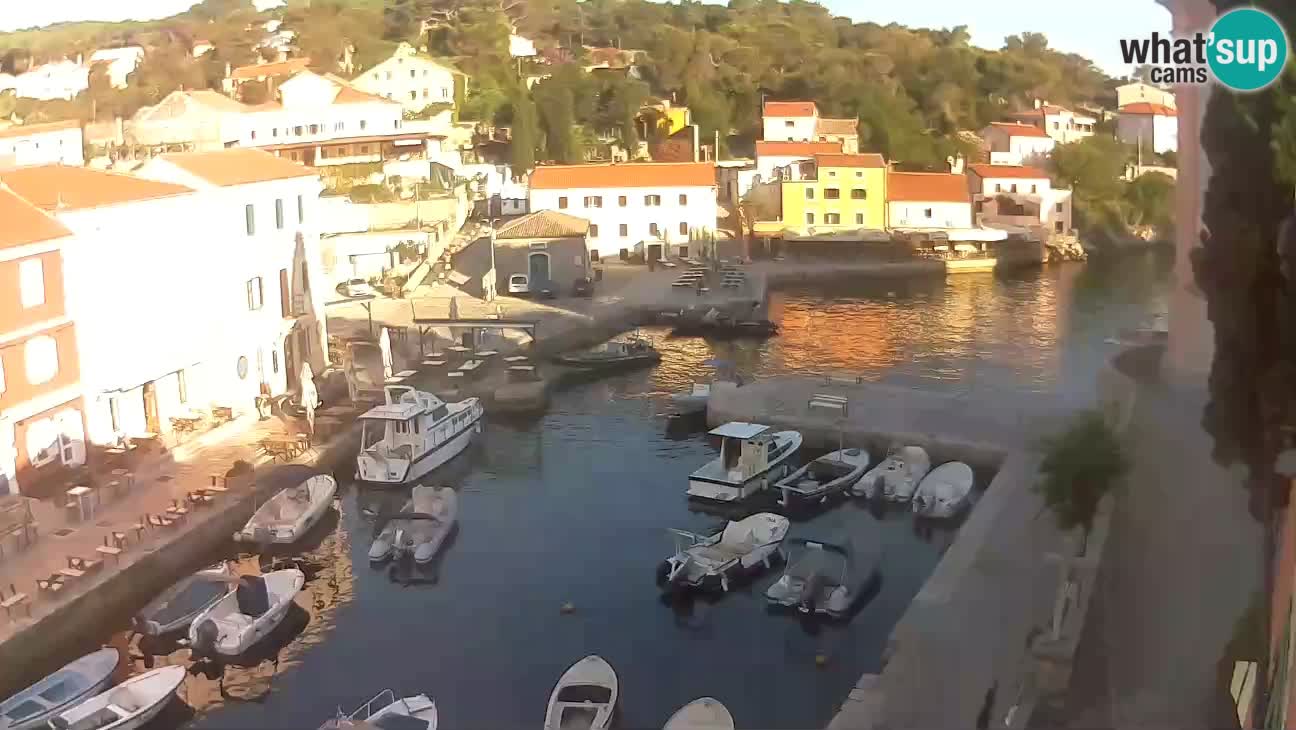 Webcam Live – The harbor and the bay of Veli Lošinj