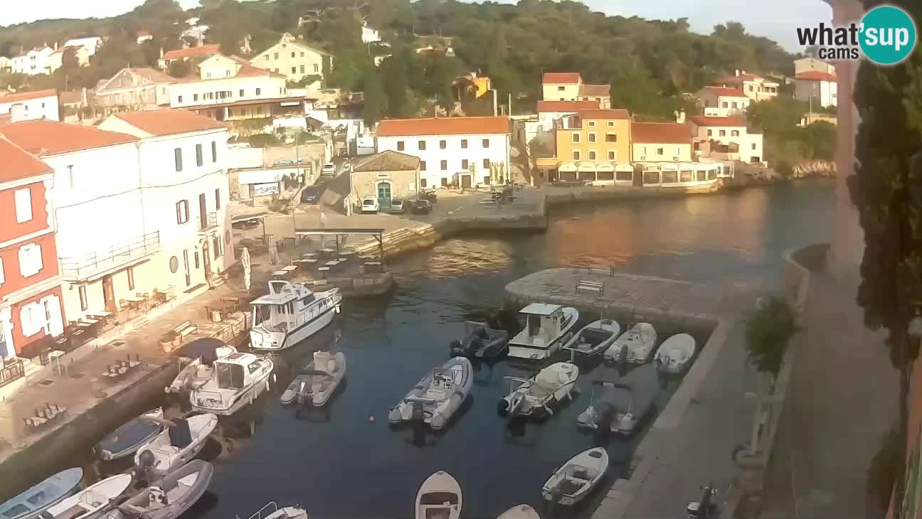 Webcam dal vivo – Il porticciolo e la baia di Lussingrande