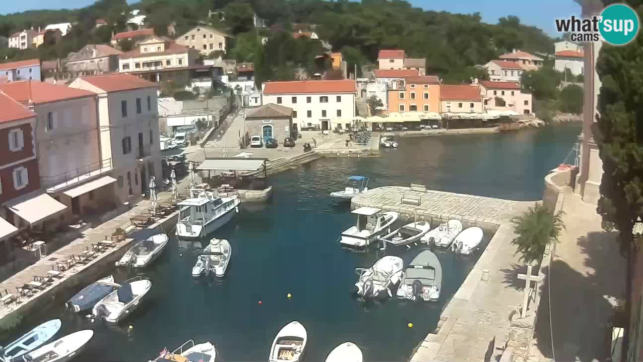 Webcam dal vivo – Il porticciolo e la baia di Lussingrande