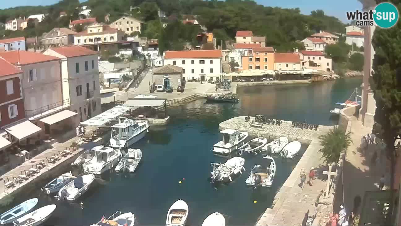 Webcam dal vivo – Il porticciolo e la baia di Lussingrande