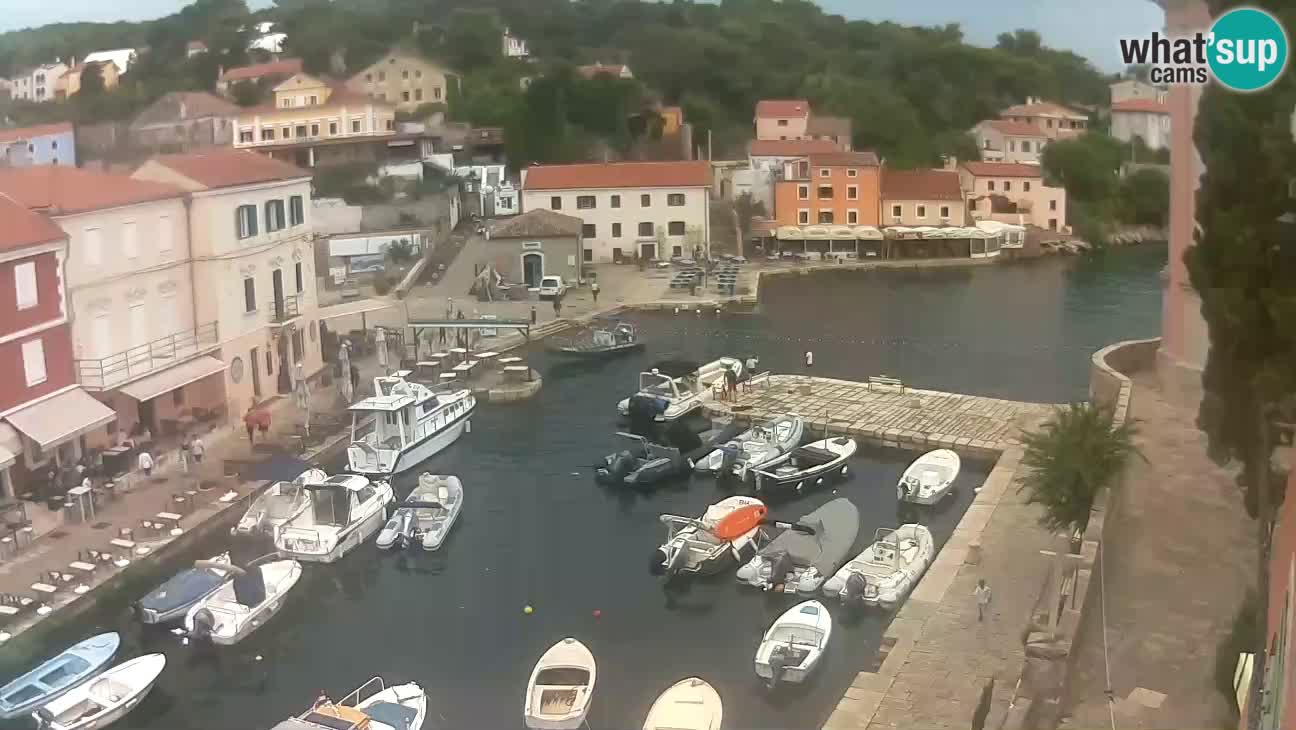 Webcam dal vivo – Il porticciolo e la baia di Lussingrande