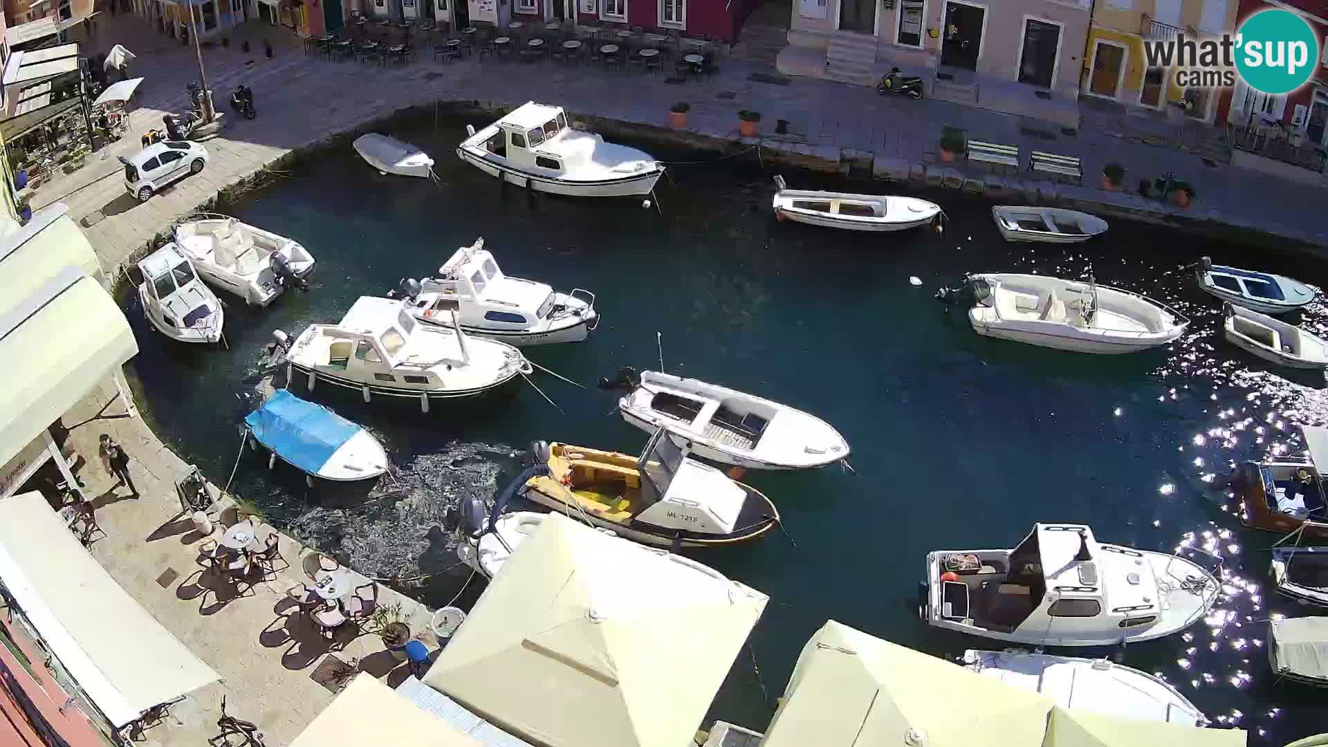 Veli Lošinj livecam – Carre