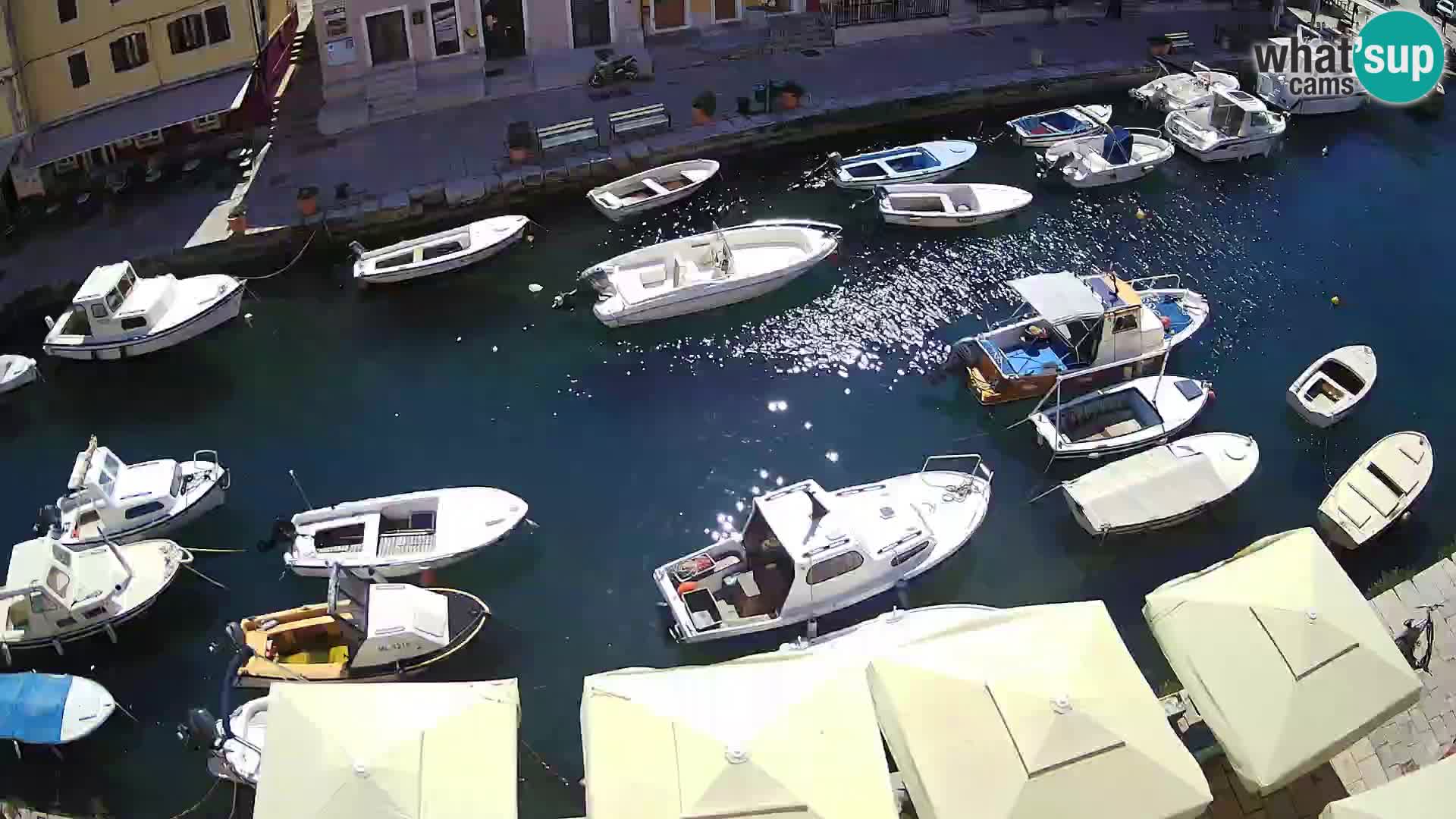 Veli Lošinj spletna kamera – trg