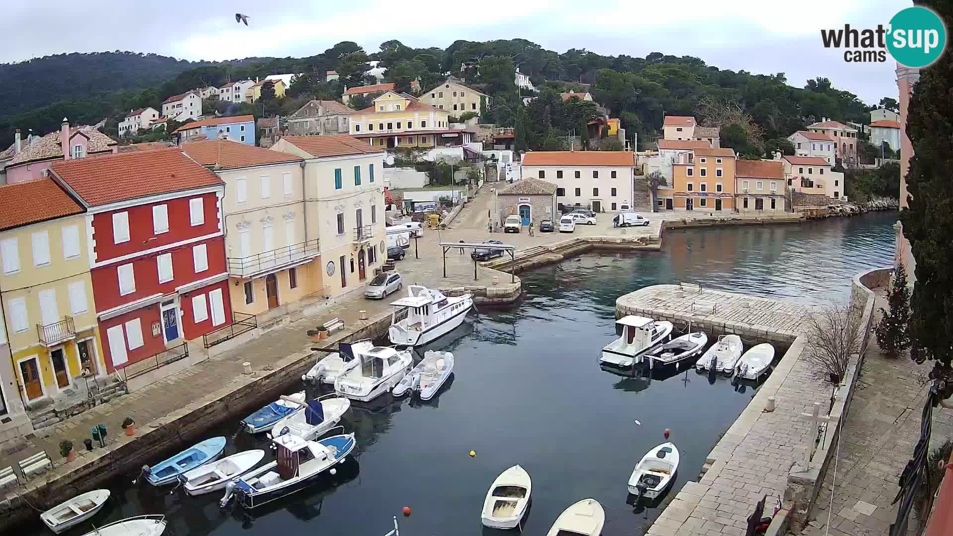 Lussingrande webcam – Piazzetta