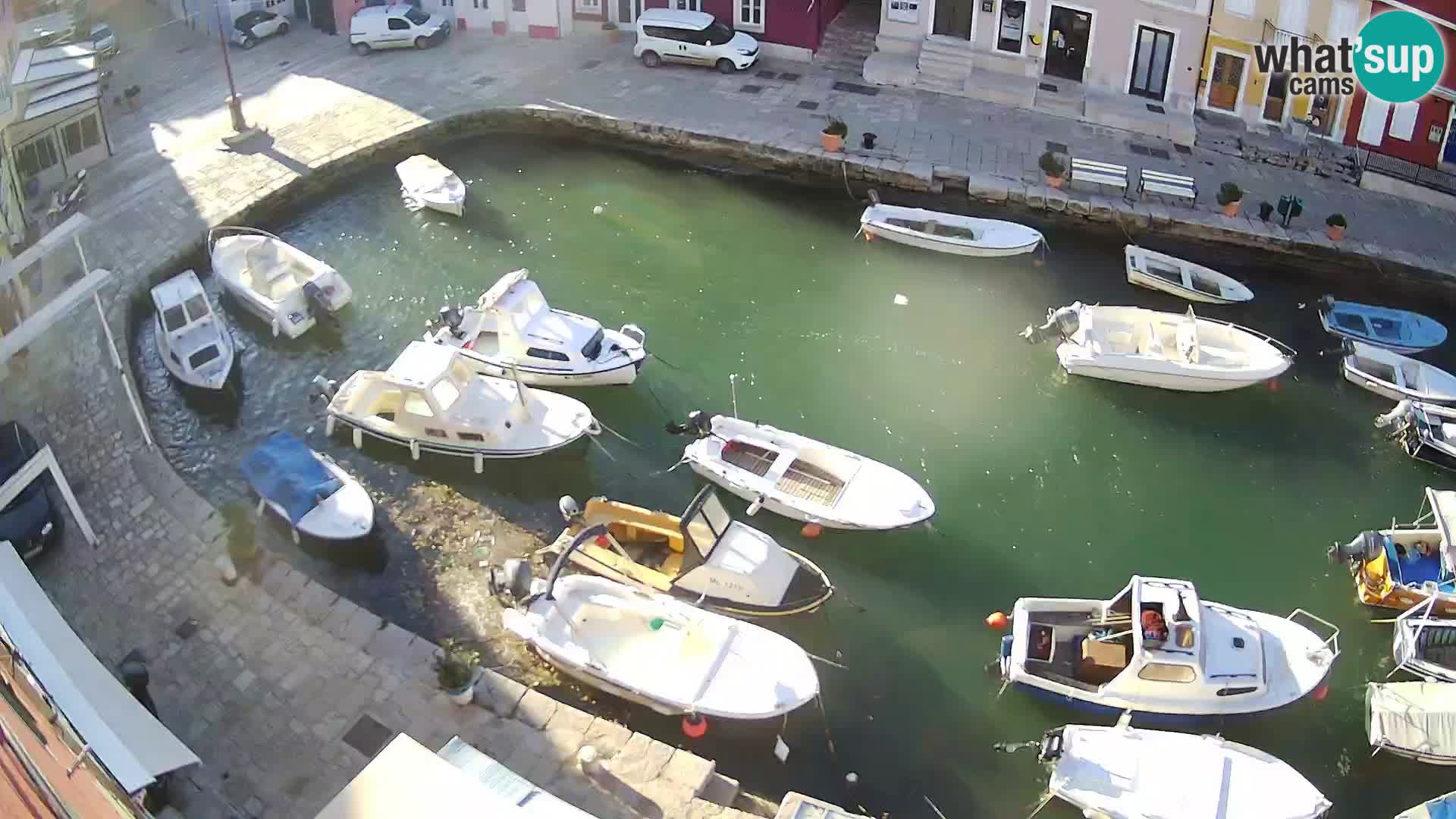 Veli Lošinj livecam – Carre