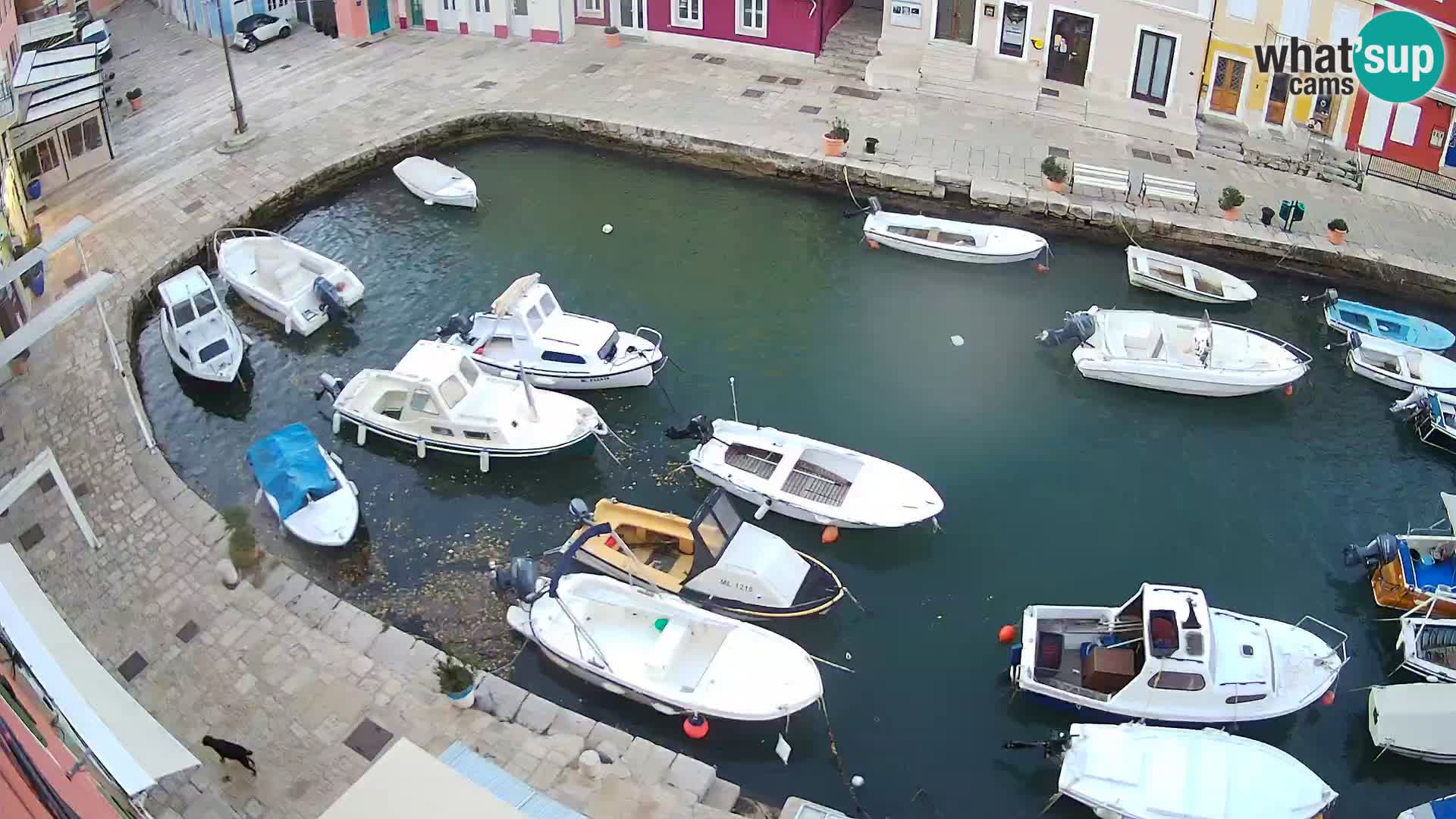 Veli Lošinj livecam – Carre