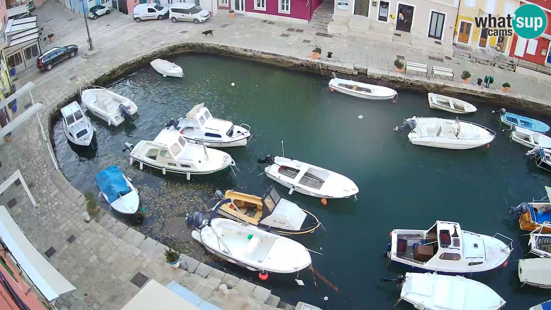 Veli Lošinj livecam – Carre