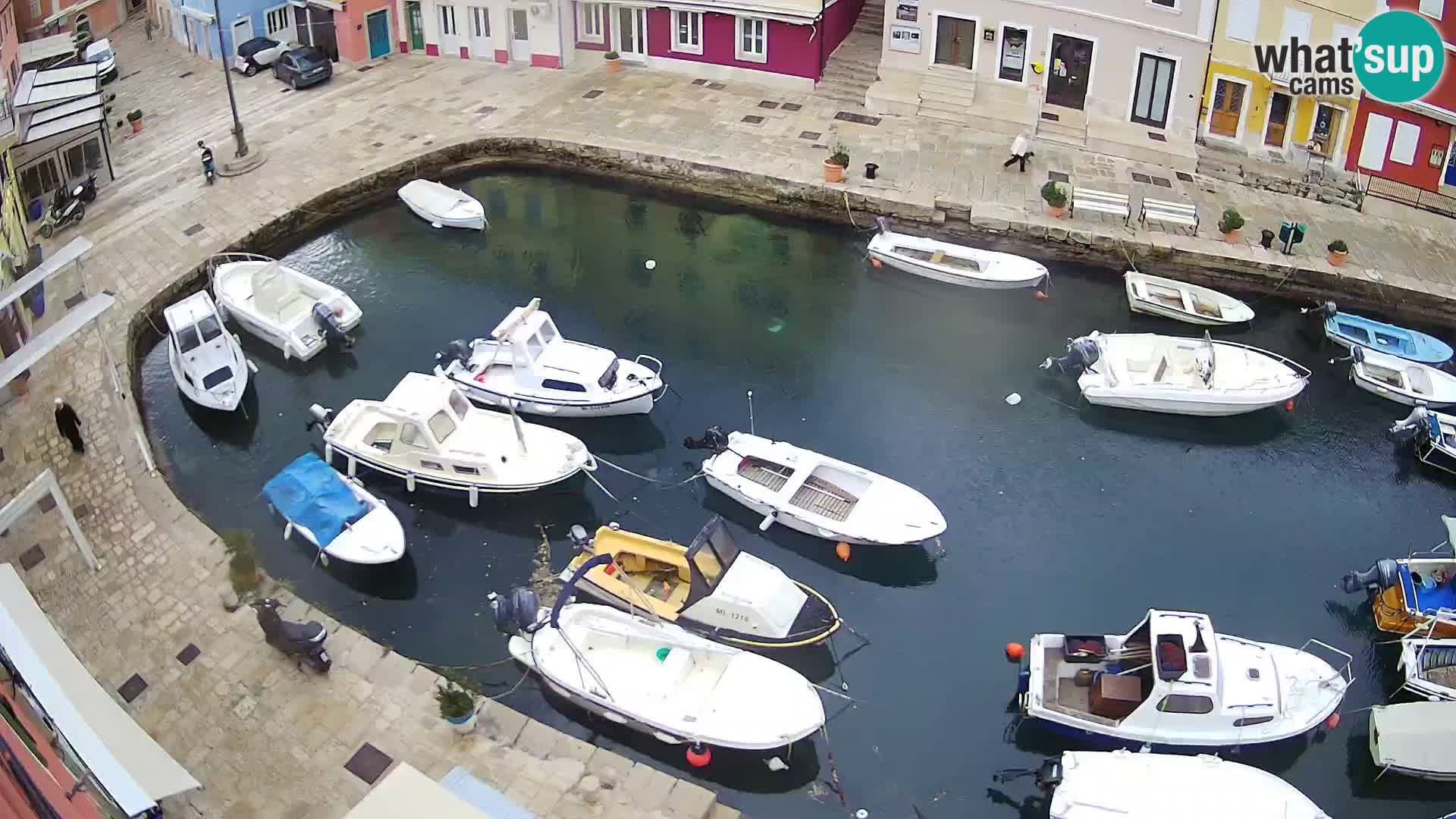 Veli Lošinj livecam – platz