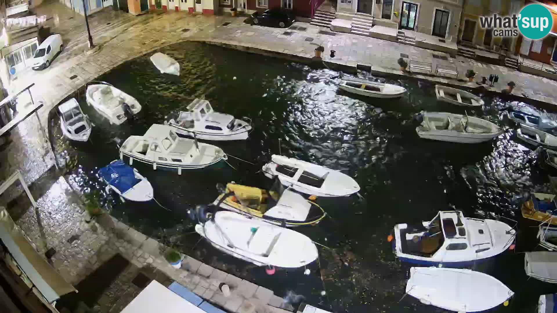 Veli Lošinj camera en vivo – plaza