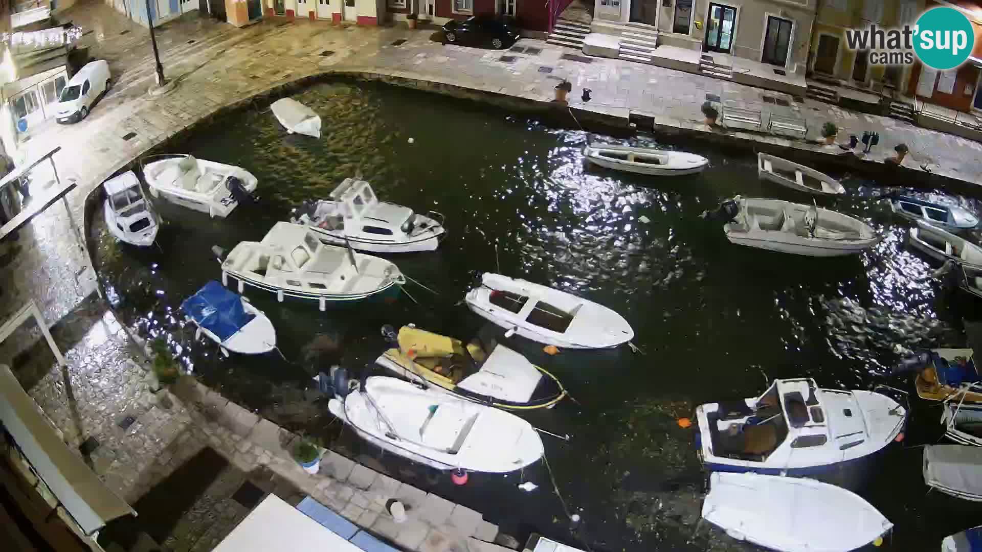 Veli Lošinj livecam – Carre