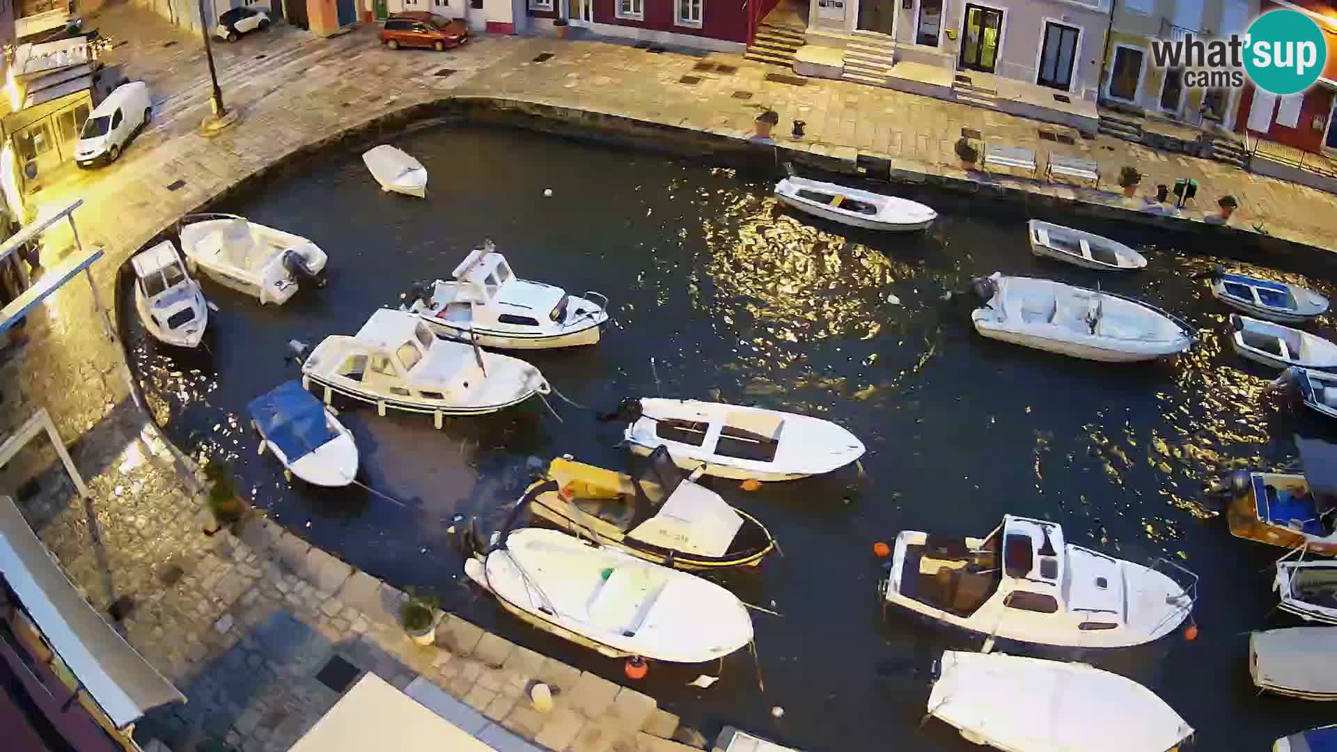 Veli Lošinj livecam – Carre