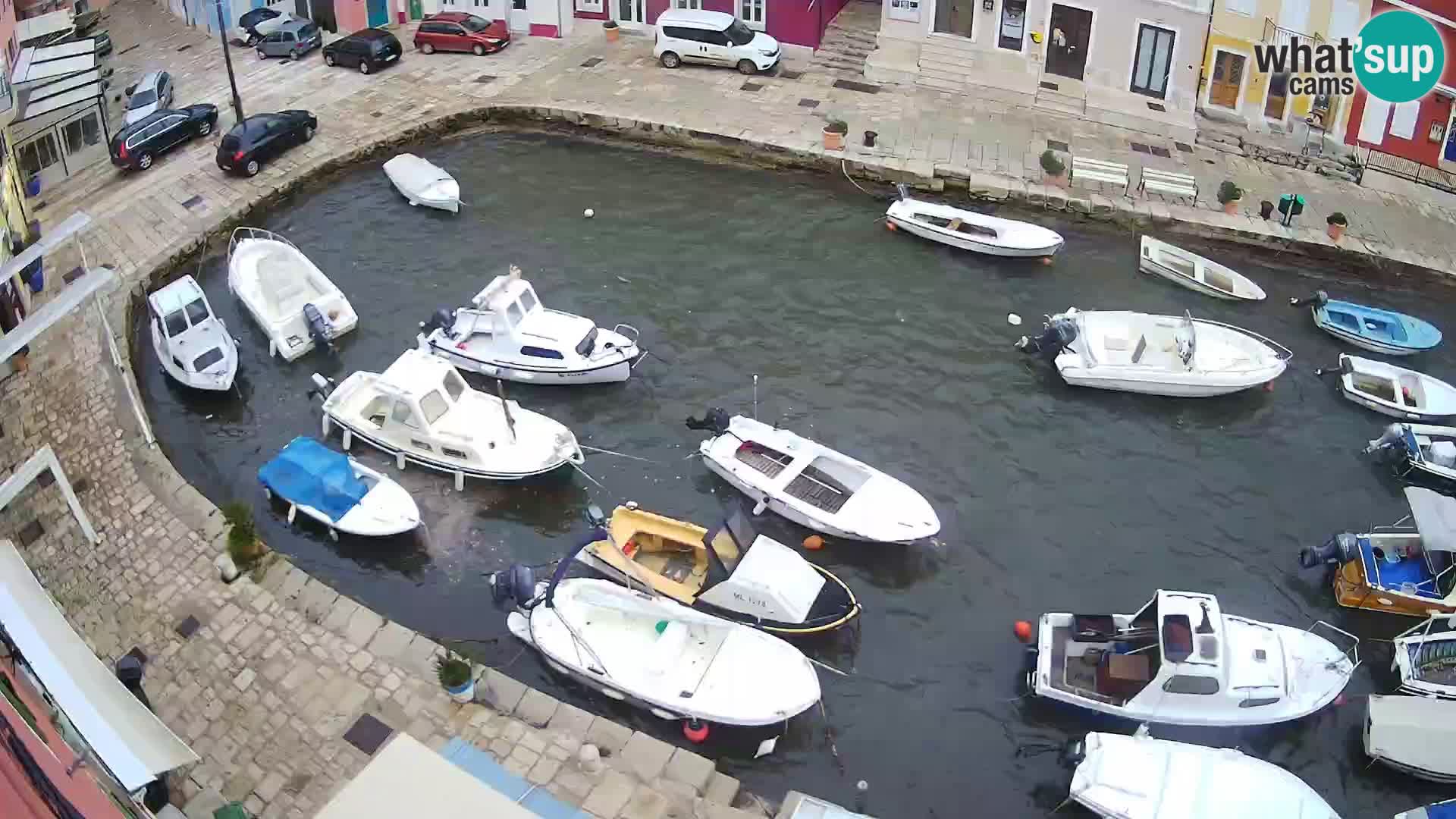 Veli Lošinj livecam – Carre