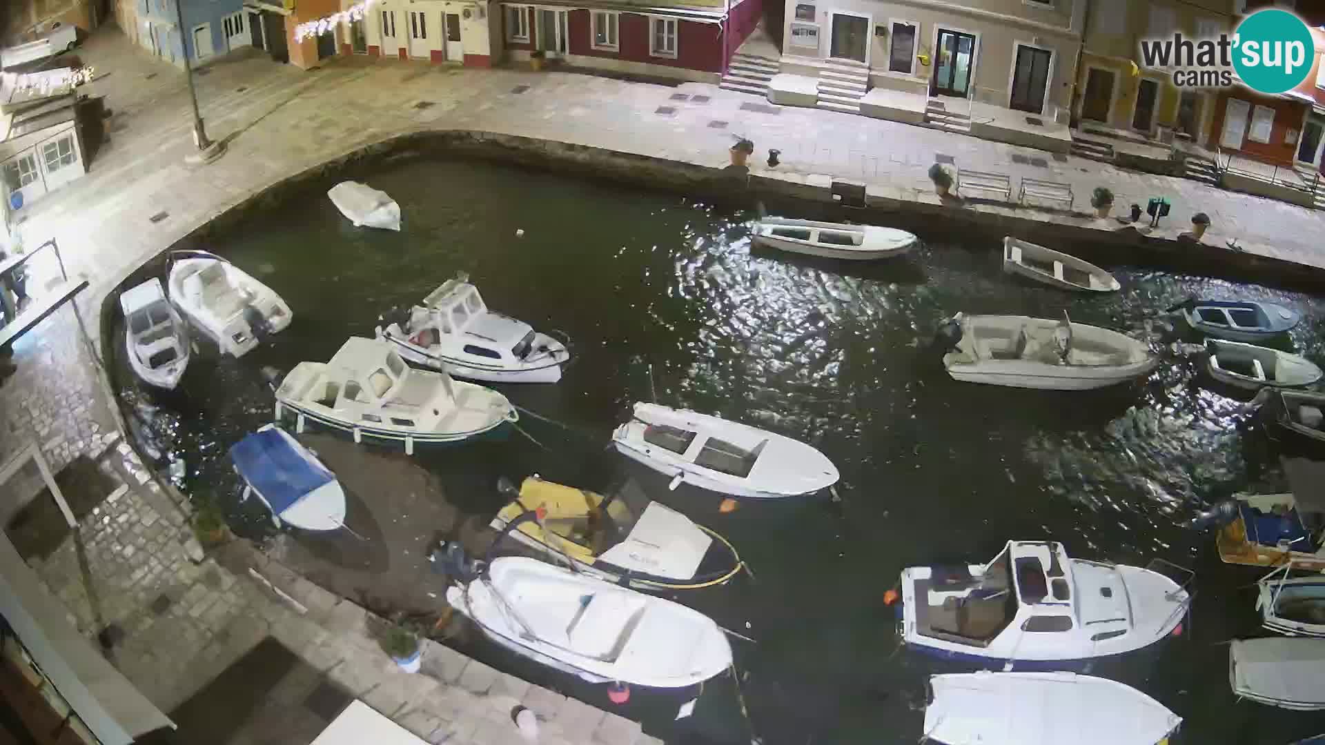 Veli Lošinj livecam – Carre