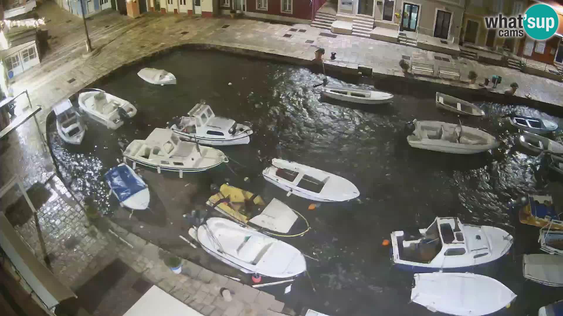 Veli Lošinj livecam – Carre