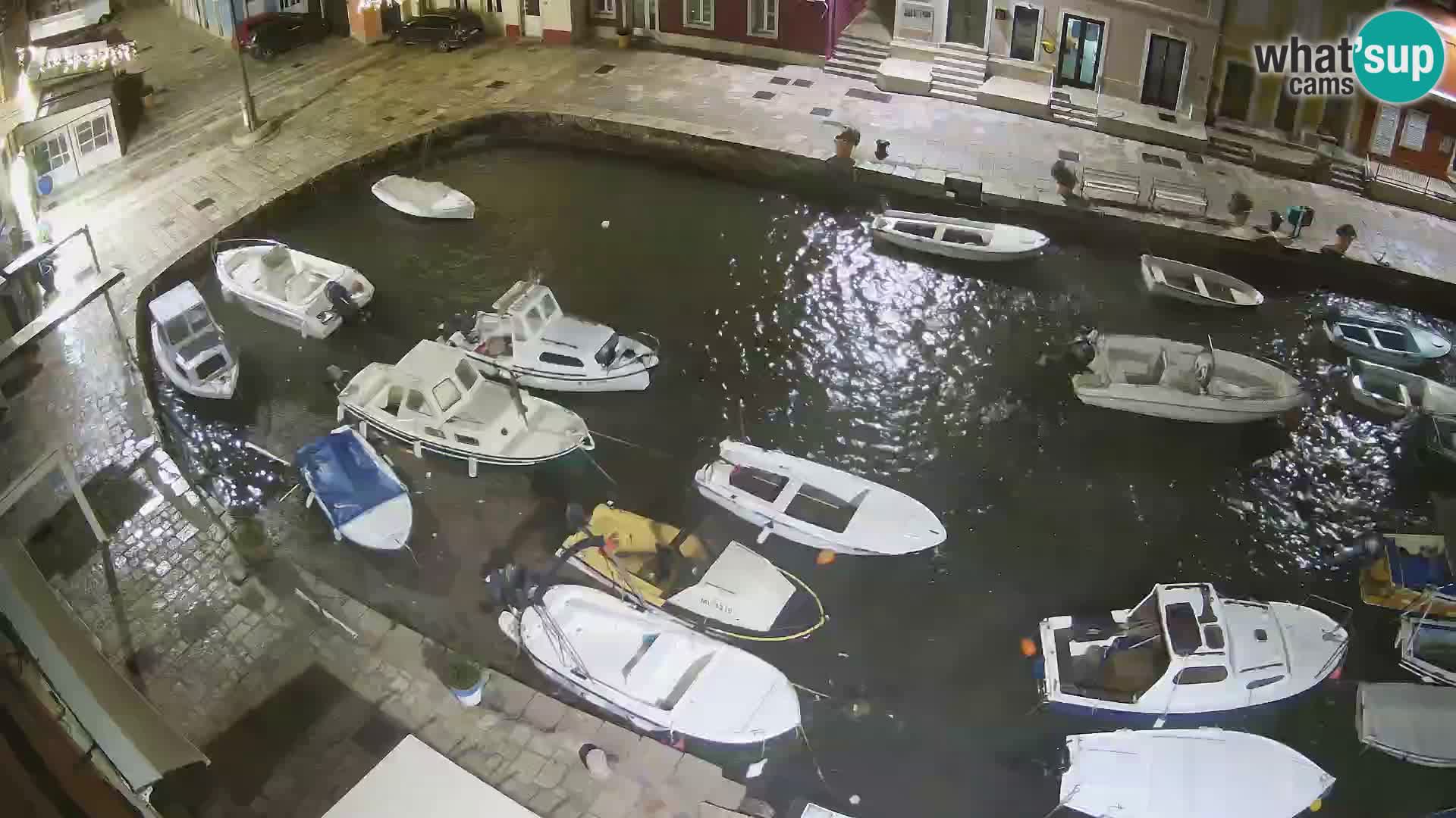 Veli Lošinj livecam – Carre