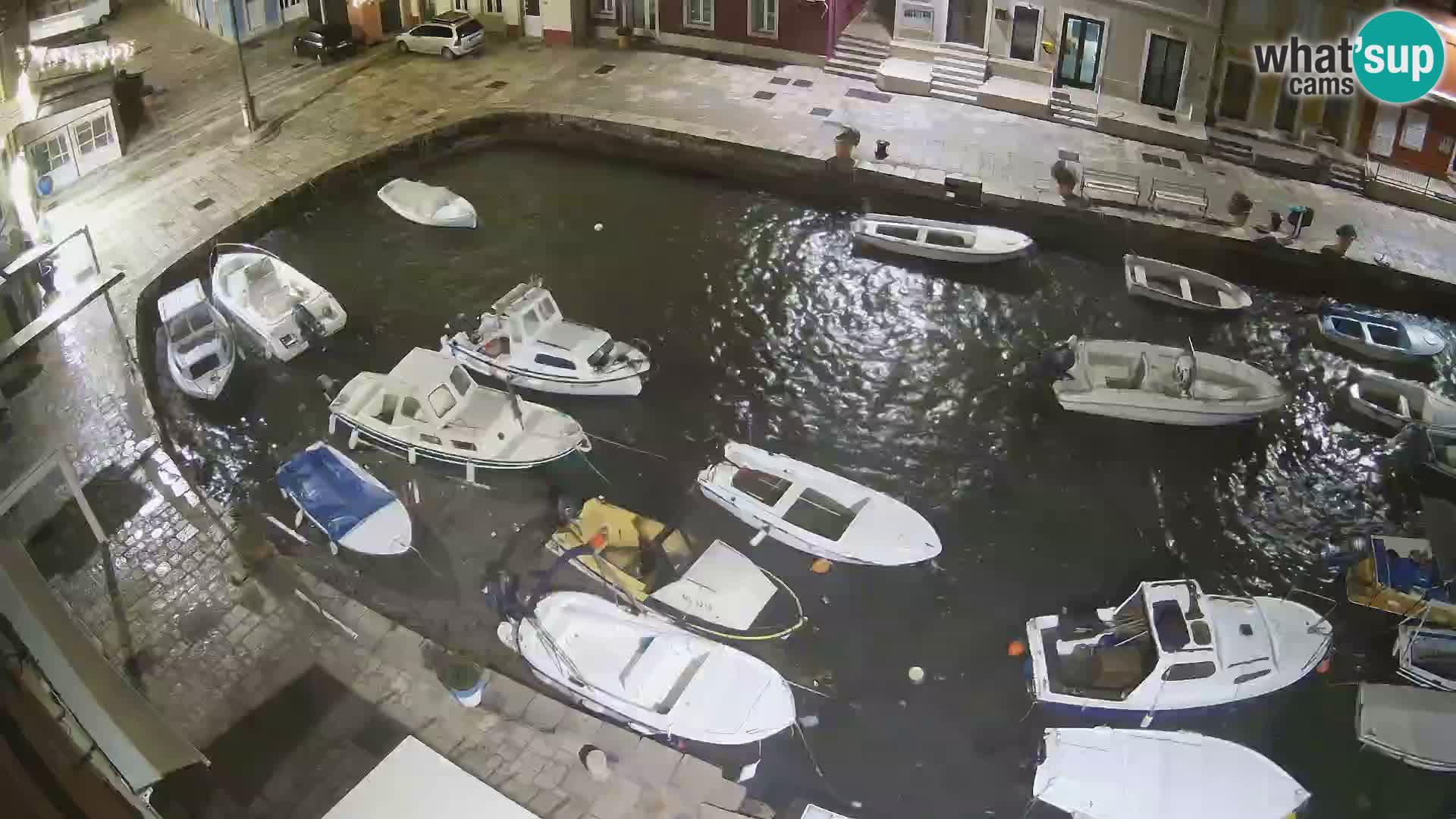 Veli Lošinj livecam – Carre