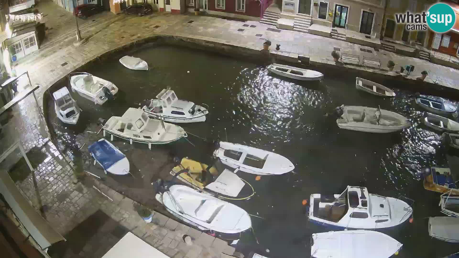 Veli Lošinj livecam – Carre