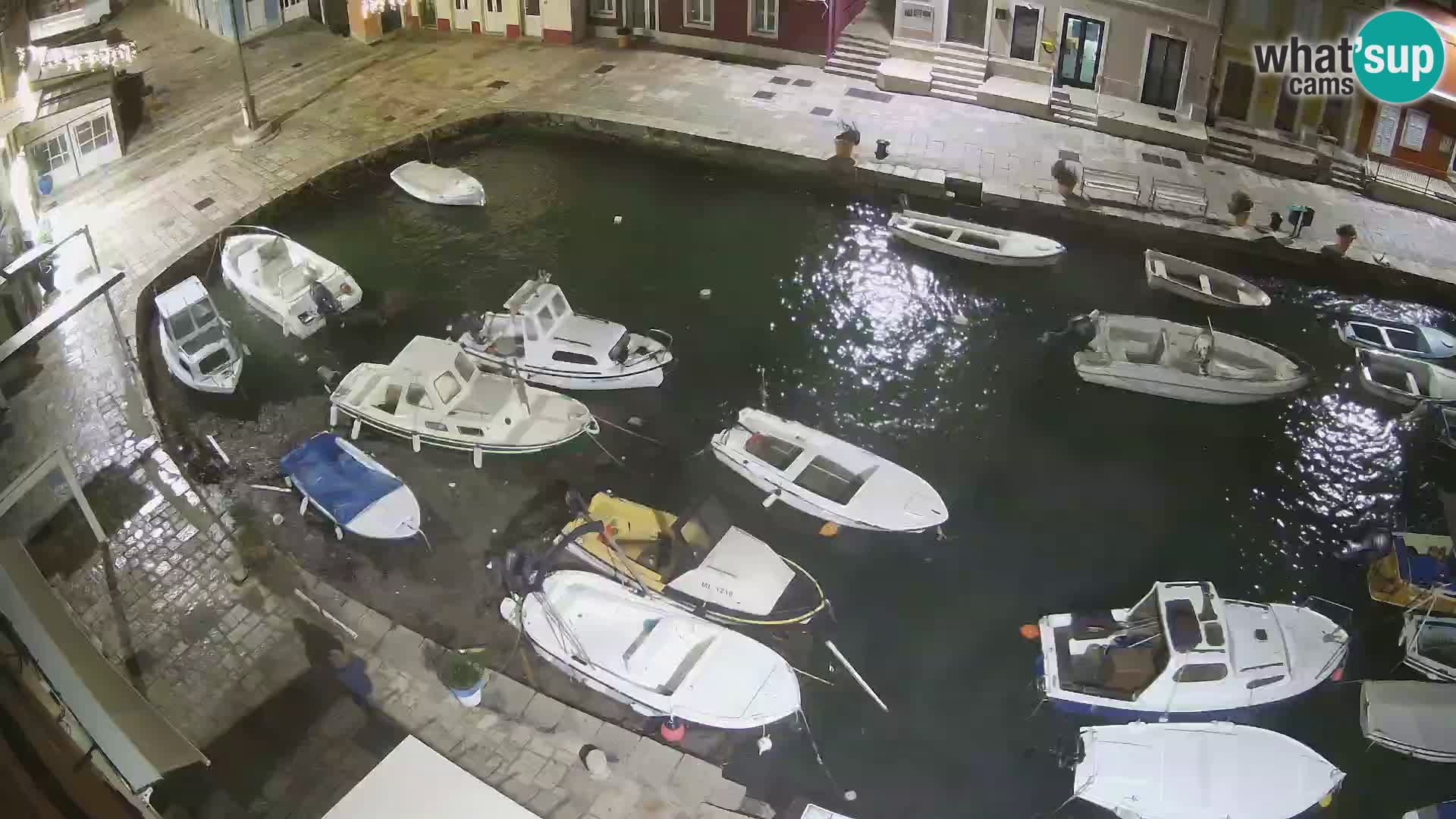 Veli Lošinj livecam – Carre