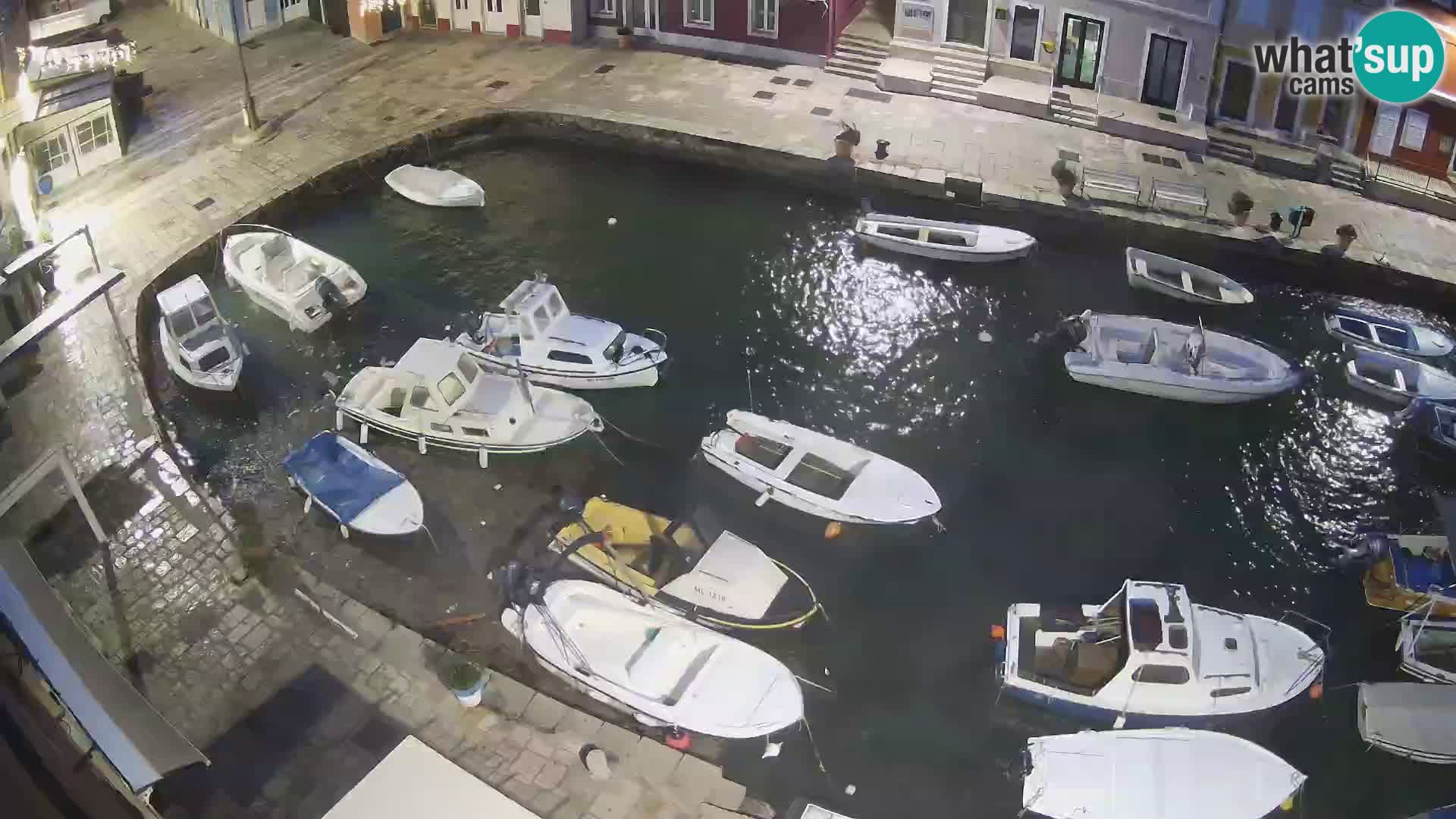 Veli Lošinj livecam – Carre