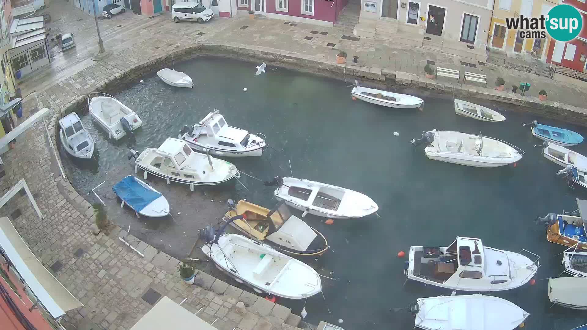 Veli Lošinj livecam – Carre