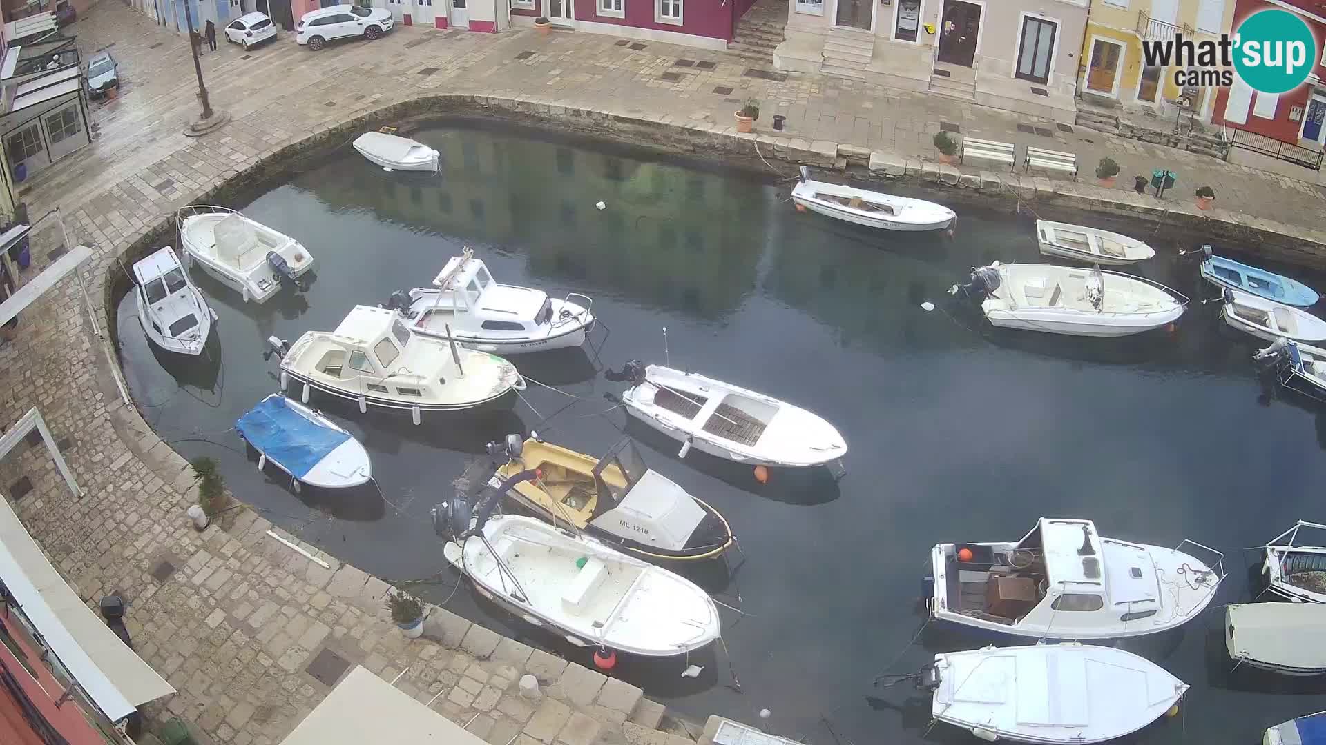 Veli Lošinj livecam – Carre