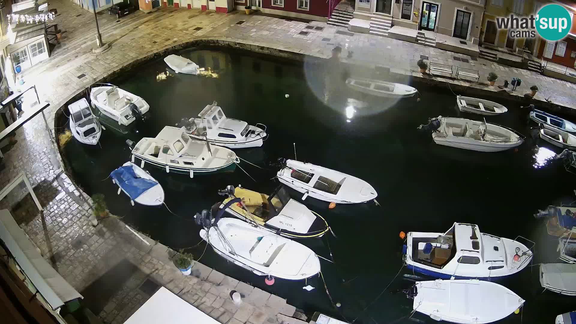 Veli Lošinj livecam – Carre