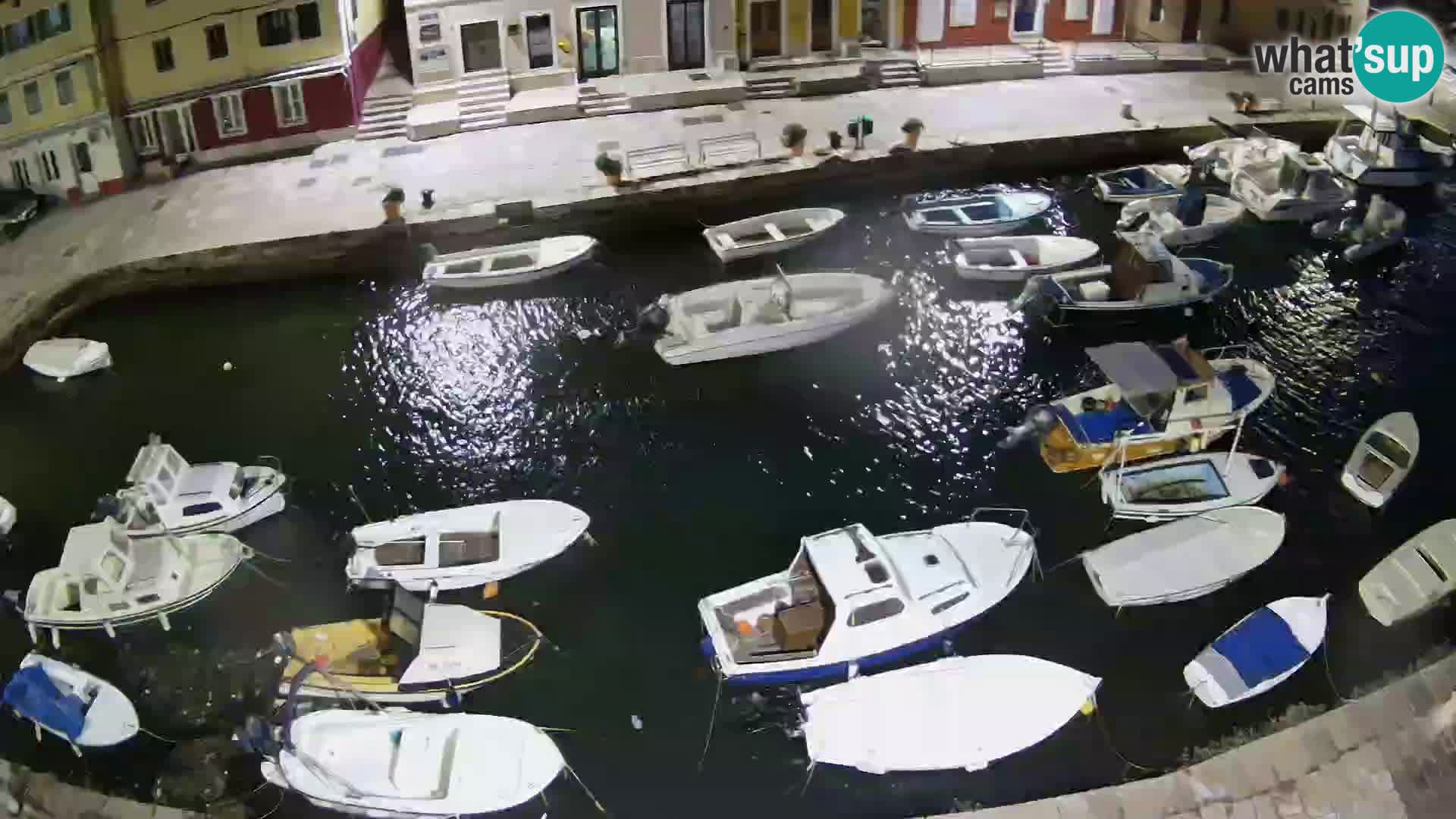 Veli Lošinj livecam – Carre